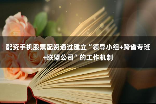 配资手机股票配资通过建立“领导小组+跨省专班+联盟公司”的工作机制