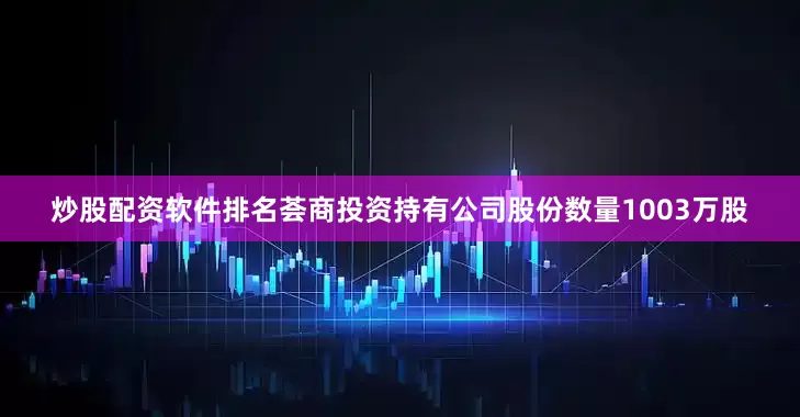 炒股配资软件排名荟商投资持有公司股份数量1003万股