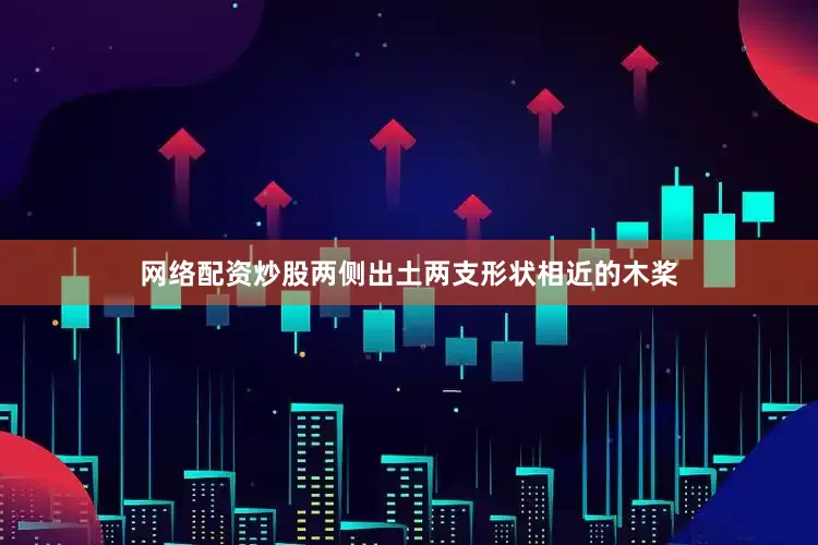 网络配资炒股两侧出土两支形状相近的木桨