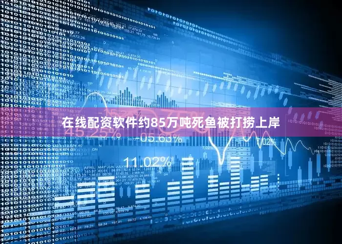在线配资软件约85万吨死鱼被打捞上岸