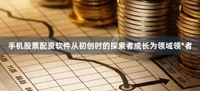 手机股票配资软件从初创时的探索者成长为领域领*者